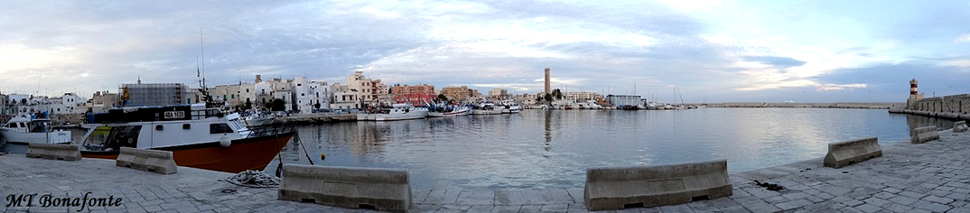 Monopoli